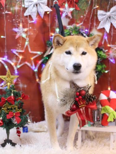 20231216平太くん